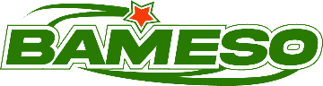 Escudo de Bameso