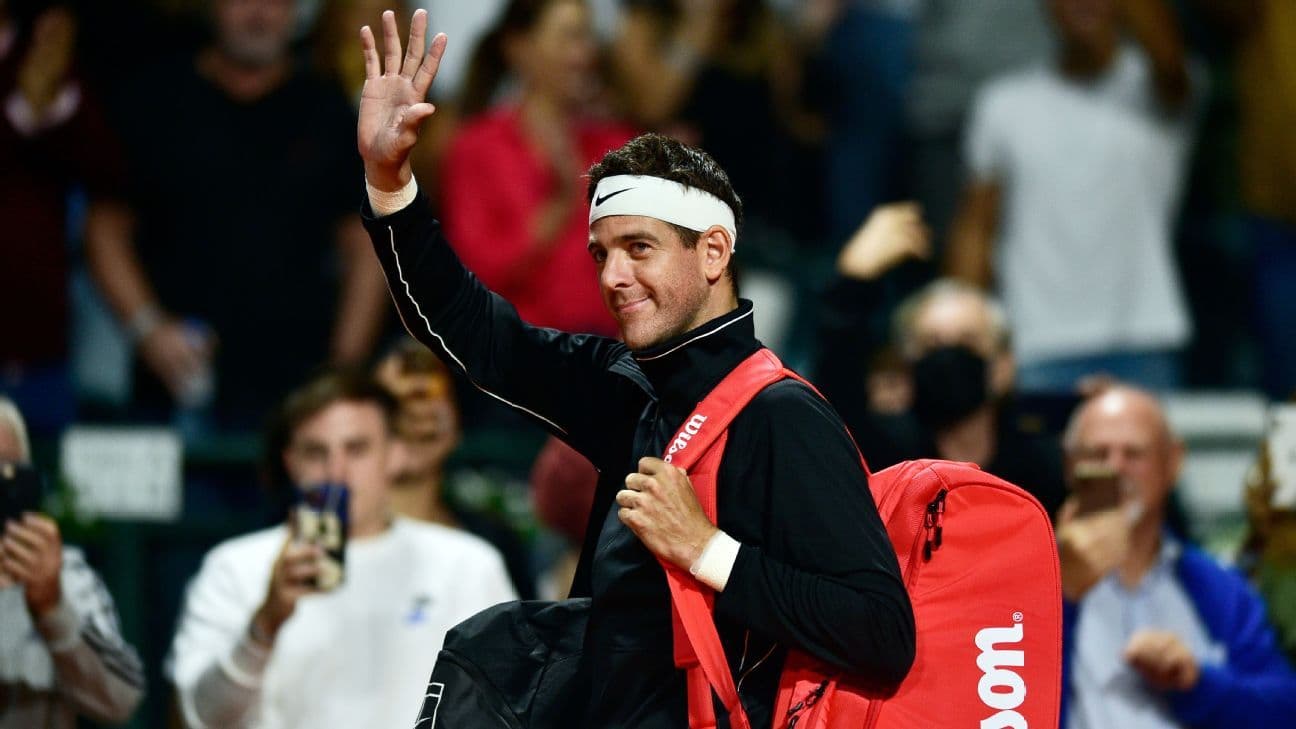 Del Potro fue el más votado por la gente y quedó un paso más cerca de ingresar al Salón de la Fama