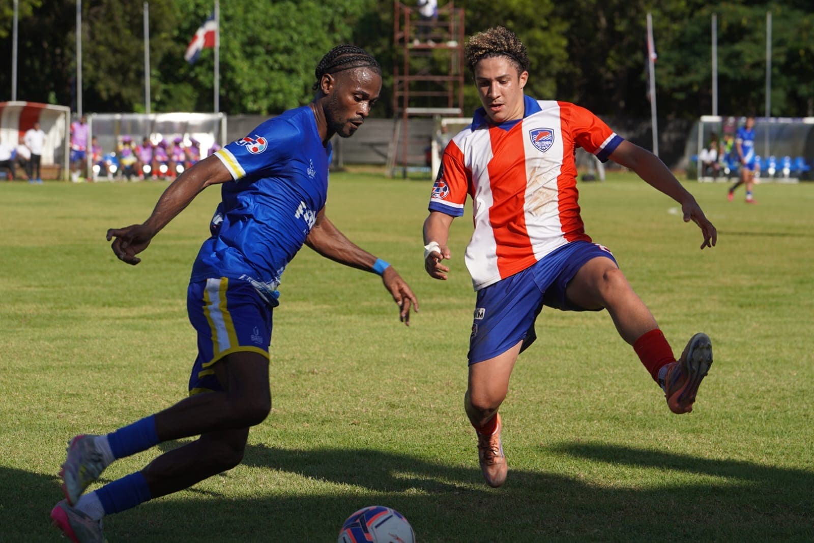 Delfines remonta y vence 3-1 a Atlántico en el Parque del Este*